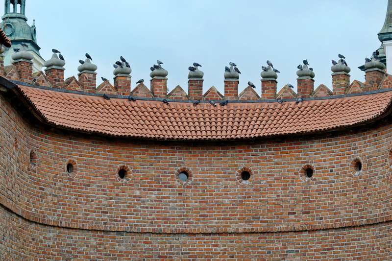 30 - Pigeons on the Warsaw Barbican, a historic semicircular outpost in Poland's capital